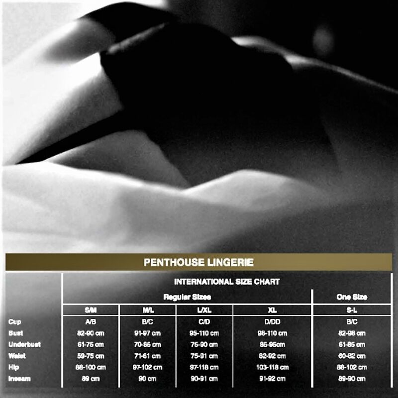 PENTHOUSE - FANCY ME BODYSTOCKING XL - Imagen 3